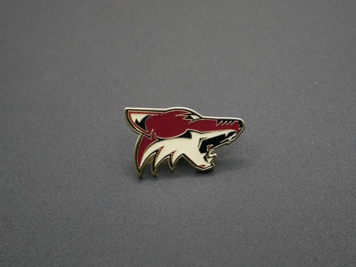 Phoenix coyotes hockey team - hockey,